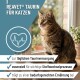 Eine Glasschüssel gefüllt mit weißem Pulver, daneben ein kleiner klarer Messlöffel.
