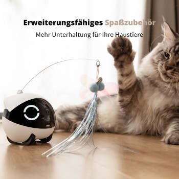 Eine verspielte Katze interagiert mit einem robotischen Spielzeug, das eine bunte Feder und eine Schnur hat, um die Unterhaltung von Haustieren zu fördern.