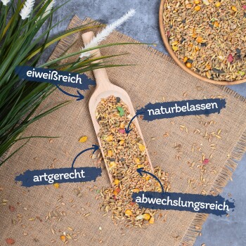 Eine Holzschaufel mit buntem Vogelfutter auf Jute, umgeben von Gras, mit Etiketten: "reich an Protein", "natürlich", "artengerecht", "abwechslungsreich."