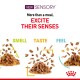 Image promoting a new pet food product with the text "More than a meal, EXCITE THEIR SENSES" highlighting "SMELL," "TASTE," and "FEEL."