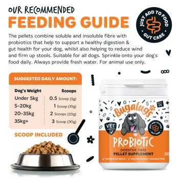 Fütterungsleitfaden mit dem Titel 'Unser empfohlener Fütterungsleitfaden', daneben ein Glas mit Probiotic-Pellet-Ergänzung für Hunde, ein Messlöffel, eine Schale mit Pellets und der Hinweis 'Messlöffel enthalten'