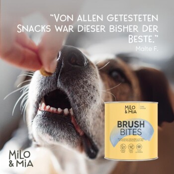 Bild, das einen Vergleich der Zahngesundheit eines Hundes vor und nach 21 Tagen zeigt, mit Text, der die Vorteile für empfindliche Hunde hervorhebt.