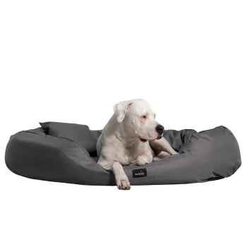 ARES VISCO Polyester - Orthopädisches Hundebett schwarz/ graphit 1,25 m, 30 cm, 1,05 m Ein weißer Hund, der auf einem grauen Hundebett entspannt liegt und sich wohlfühlt. Das Bett hat ein schwarzes Logo-Tag.