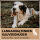 Ein glücklicher Hund mit einem Stock sitzt auf Blättern. Text: "LANGANHALTEDES KAUVERGNÜGEN kalorienfrei, reich an Keratin."