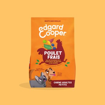 Sac de nourriture pour chiens Edgard & Cooper orange « Poulet Frais » avec illustration de poulet et chiens dessinés, étiqueté « Chiens Adultes Petits ».