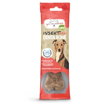 Verpakking van Yummeez Insect Maxi Denta Bone voor honden, met een cartoon hond en tekst die de ondersteuning van de tandgezondheid en duurzaamheid benadrukt.