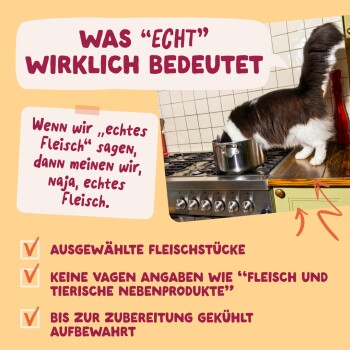 Schwarz-weiße Katze auf einem Herd schnuppert an einem Topf; deutsche Überschrift 'WAS "ECHT" WIRKLICH BEDEUTET' und Checkliste zum Thema Fleisch