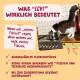 Schwarz-weiße Katze auf einem Herd schnuppert an einem Topf; deutsche Überschrift 'WAS "ECHT" WIRKLICH BEDEUTET' und Checkliste zum Thema Fleisch