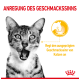 Nahaufnahme einer überraschten getigerten Katze mit offenem Mund, mit deutschem Text "ANREGUNG DES GESCHMACKSSINNS" über die Stimulation der Geschmackssinne.