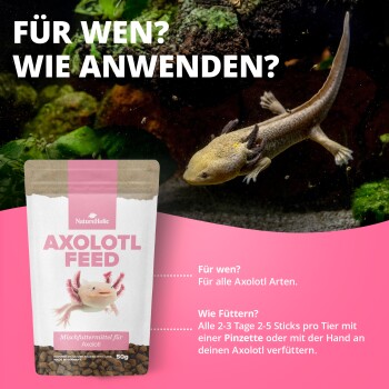 Axolotl im Aquarium neben einer NatureHolic 'AXOLOTL FEED'-Tüte; deutscher Text 'FÜR WEN? WIE ANWENDEN?' und Fütterungsanleitung.