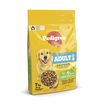 Eine 7 kg Tüte Pedigree Hundefutter für Erwachsene, mit einem lächelnden Golden Retriever und den Hinweisen "Natürliche Zutaten" und "Superfoods."
