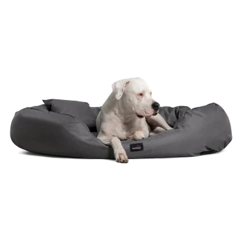 Ein weißer Hund, der auf einem grauen Hundebett entspannt liegt und sich wohlfühlt. Das Bett hat ein schwarzes Logo-Tag.