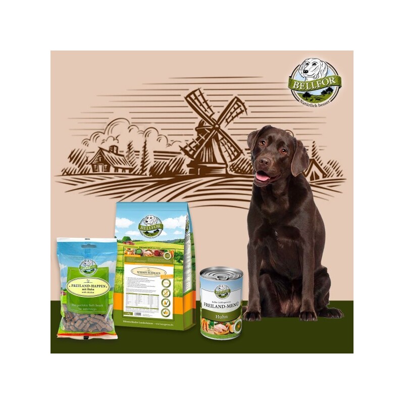 Bellfor Labrador Futter Set