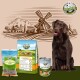 Labrador Futter Set