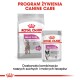 Opakowanie karmy dla psów Royal Canin Relax Care z torbą suchej karmy oznaczoną jako "MAXI" oraz saszetką mokrej karmy, obie promujące adaptację do zmian.