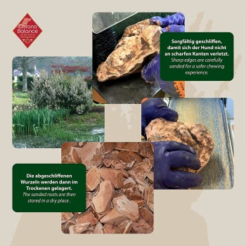 Bildcollage mit haustiersicheren, geschliffenen Holzstücken, mit Text, der auf sorgfältiges Schleifen für Sicherheit und Lagerungsanweisungen hinweist.