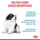 Giant Puppy 3,5 kg