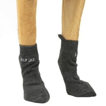 Hundesocken fressnapf Clearance