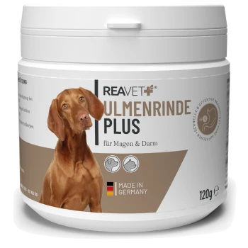 Ein weißer Behälter mit der Aufschrift "REAVET+ ULMENRINDE PLUS" für Hunde, entwickelt für Magen- und Darmgesundheit, mit einem Bild eines braunen Hundes.