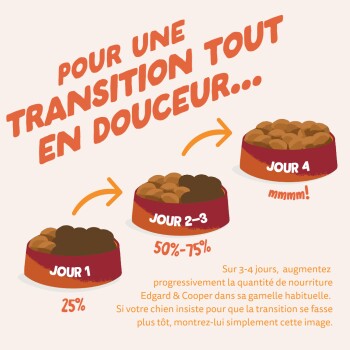 « Pour une transition tout en douceur... » : trois bols pour chiens étiquetés Jour 1 (25 %), Jour 2-3 (50–75 %), Jour 4.