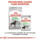 Emballage Royal Canin Digestive Care avec un sac de nourriture sèche "MAXI" et un sachet de nourriture humide, promouvant une meilleure qualité des selles et un mélange croquettes-mousse.