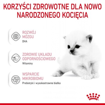 Uroczy biały kociak z niebieskimi oczami, obok polskiego tekstu o korzyściach zdrowotnych: rozwój mózgu, wsparcie układu odpornościowego i wsparcie mikrobiomu.