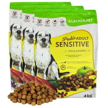 Hundfutterverpackung mit "Paula's Adult Sensitive" mit Ente und Kartoffeln, 4 kg, geeignet für Hunde mit Allergien, begleitet von Trockenfutter.