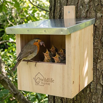 Ein Holzvogelhaus mit einem Metalldach, mit einem kleinen orange-grauen Vogel, der herausblickt, graviert mit "Wildtierheim."
