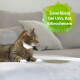 Gestreifte Katze auf grauem Sofa neben einem nassen Fleck, grünes Abzeichen mit der Aufschrift “Zuverlässig bei Urin, Kot, Erbrochenem”.