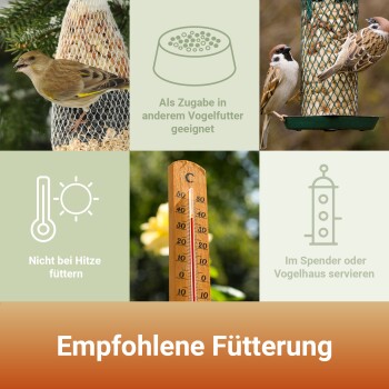 Vögel füttern an Netz-Futterspendern mit deutschem Text zu Fütterungsempfehlungen und Temperaturwarnungen.