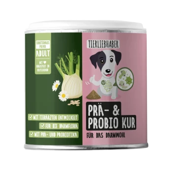 Grüner und pinker Behälter, beschriftet mit "Tierliebhaber Prä & Probio Kur für Hunde", mit haustierbezogenen Grafiken und natürlichen Zutaten.