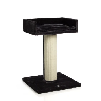 Schwarzer Kratzbaum für Katzen mit einem plüschigen oberen Platz und einem mit Sisal umwickelten Kratzbaum, entworfen für den Komfort und das Spiel von Katzen.