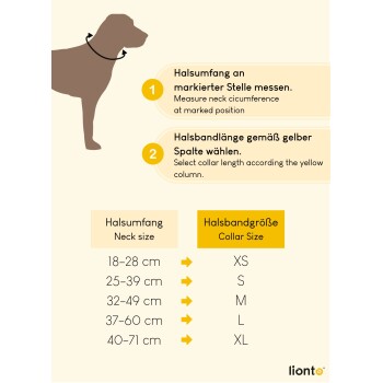 Hundehalsband-Größentabelle mit Messanleitungen in Deutsch und Englisch, die Halsgrößen und entsprechende Halsbandgrößen von XS bis XL zeigt.