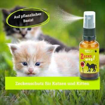 Eine grün-gelbe Sprühflasche mit der Aufschrift "Zecke weg!" für Katzen, mit verspielten Kätzchen im verschwommenen Freien im Hintergrund. Text: "Auf pflanzlicher Basis!"