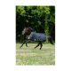 Ein schwarzes Pferd, das mit einer blauen und gelben Decke durch ein mit Wildblumen geschmücktes Grasfeld galoppiert, umgeben von Bäumen.