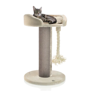 Eine entspannte getigerte Katze liegt auf einer plüschigen, erhöhten Plattform eines beigen Katzenbaums, der einen Kratzpfosten und ein Seilspielzeug hat.