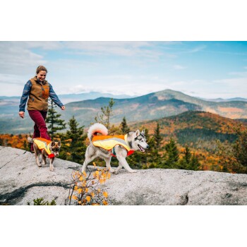 Eine Frau führt zwei Hunde in Sicherheitswesten auf einem felsigen Vorsprung, umgeben von buntem Herbstlaub und Bergen.