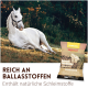 Brauner Kaninchen sitzt auf Jute mit Nahaufnahme von Körnern und Text „FÜR KANINCHEN“.