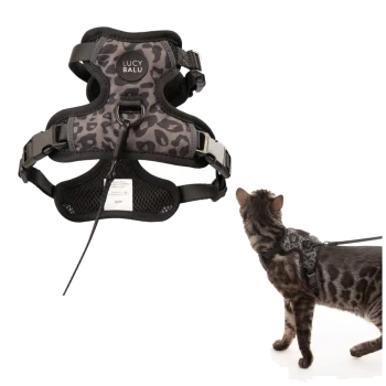 Graues, leopardgemustertes Lucy Balu Katzengeschirr mit Leine, flach gezeigt und von einer getigerten Katze getragen; sichtbares „LUCY BALU“-Label.