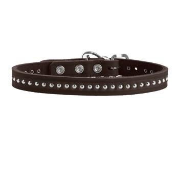 Brauner Lederhundehalsband, verziert mit silbernen Nieten und einer Metallschnalle, das ein stilvolles und langlebiges Design zeigt.