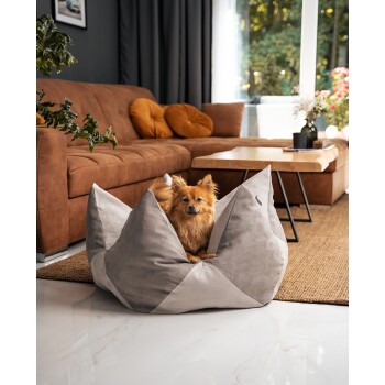 Ein flauschiger Pomeranian sitzt auf einem grauen, blumenförmigen Hundebett in einem gemütlichen Wohnzimmer mit einem braunen Sofa und großen Fenstern.