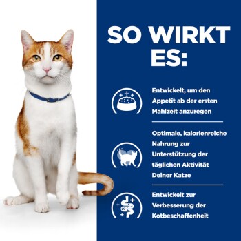 Eine weiß-orange Katze sitzt vor einem blauen Hintergrund. Text rechts bewirbt ein kalorienreiches Katzenfutter für Appetit und Verdauung.