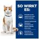 Eine weiß-orange Katze sitzt vor einem blauen Hintergrund. Text rechts bewirbt ein kalorienreiches Katzenfutter für Appetit und Verdauung.