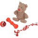 Set aus vier Hundespielzeugen, darunter ein brauner Plüschbär, ein rot-schwarzer Tennisball, ein roter Gummiknochen und ein rot-weißes Seilspielzeug.