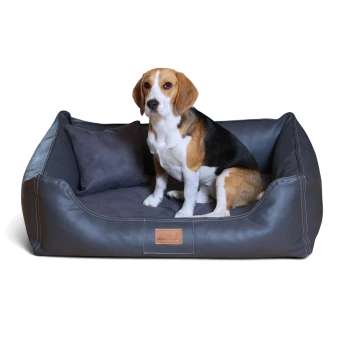 Beagle sitzt auf einem dunkelgrauen Leder-Tierbett mit passendem Kissen und einem "tierlando.de"-Etikett.