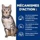 Un chat tigré gris avec des yeux verts et un collier bleu est assis à côté d'un panneau bleu sur des méthodes de contrôle du stress comme le L-tryptophane.