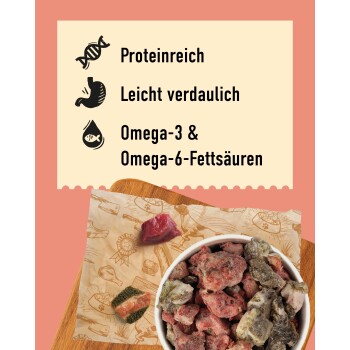 DIBO Spezial Hundefutterpaket, das sieben 2000g Beutel mit gemischtem Rindfleisch und Innereien zeigt, als Ergänzungsfutter für Hunde gekennzeichnet.