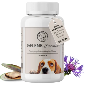 Flasche "Gelenk Tabletten" Gelenkergänzungsmittel für Hunde, 120 Tabletten, mit einem Beagle und einem Etikett über die Gelenkgesundheit.