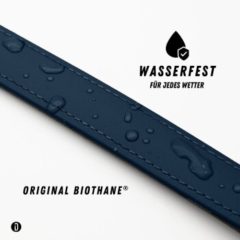 Ein stilvoller dunkelblauer Hundehalsband mit einer schwarzen Schnalle und einem leuchtend gelben Akzentband, mit dem Text "THE DOG IDEA."