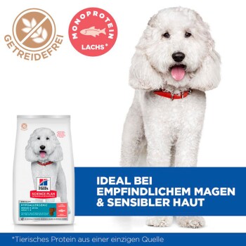 Hundefutterverpackung mit einem weißen Hund, beschriftet "Hill's Science Plan," zeigt getreidefreie und Lachsprotein-Symbole sowie Text über empfindliche Mägen.
